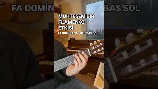 MUHTEŞEM AKORLAR F DOMİNANT 7 9LU/ BAS SOL
