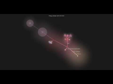 3rd Year Computer Science Project Gource Visualisation