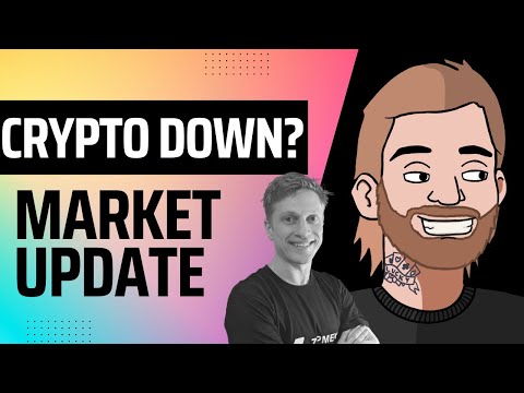 Crypto Market Update! Feat. Andrew from Zipmex | AusNFTNetwork