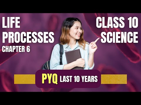 Top 20 Most Important MCQs on Life Processes | Class 10 Science Chapter 6 | PYQs, Concepts Explained
