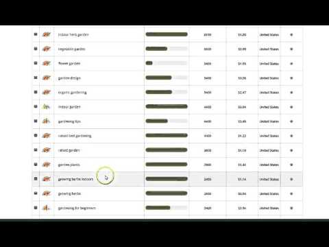 Extensive Keyword Research Offer to Rank Your Website