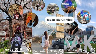 「日本旅行VLOG」11天10夜从东京到富士山再到大阪