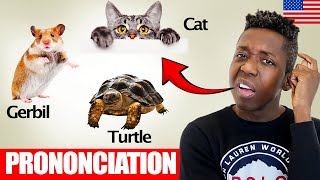 Prononcez le nom de ces animaux domestiques en anglais