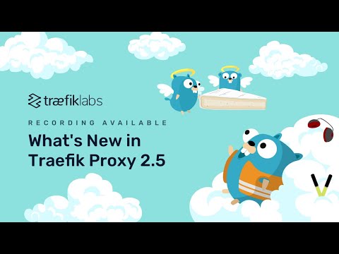Online Meetup: What's New in Traefik Proxy 2.5