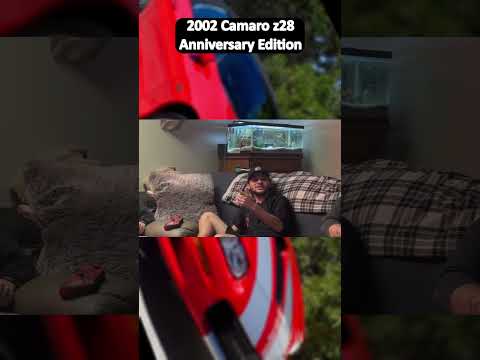 #clips #podcast #funny #daytodaylife #cars #driving #camaro #oldcars #dreamcar