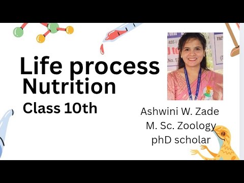 Life processes full chapter   class 10th  part -2
