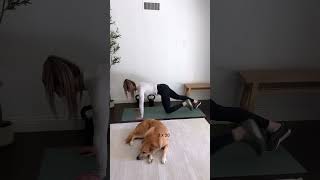 Quick Abs Workout, only 10 minutes for a core routine that burns every time!