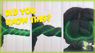 The TRUTH about PROTECTIVE STYLES