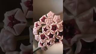 #Shorts#Viral#Trending#FYP#Explore#MustWatch#Watch Now#Shorts#YouTube Shorts#saastips#b2b#nature