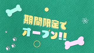 【Ae】架空施設告知動画【モーショングラフィックス】