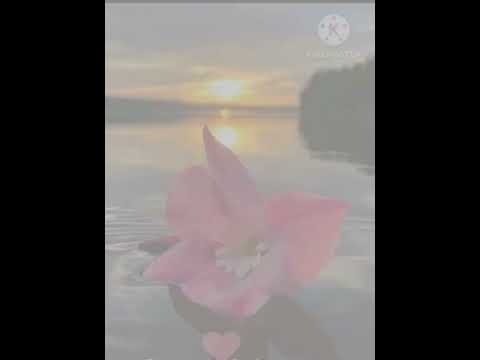 #dildeewana#nomusicsong#hindievergreensongs#femaleversion#