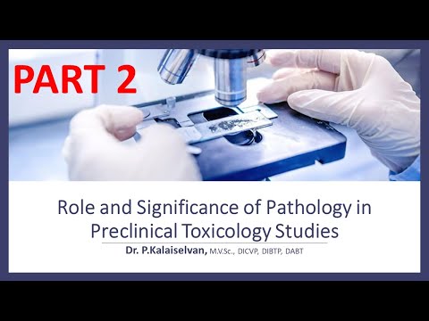 Part 2 - Role and Significance of Pathology in Pre-clinical Toxicology Studies
