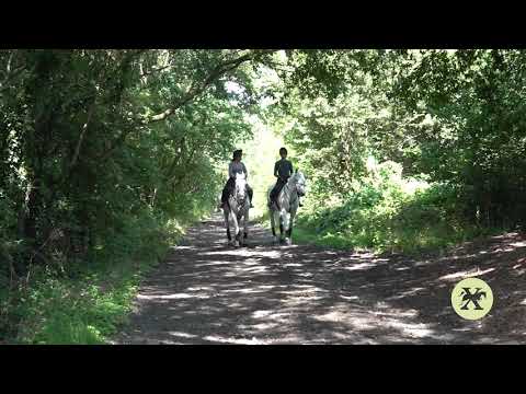 Hacking in Trent Park Woods (2020)