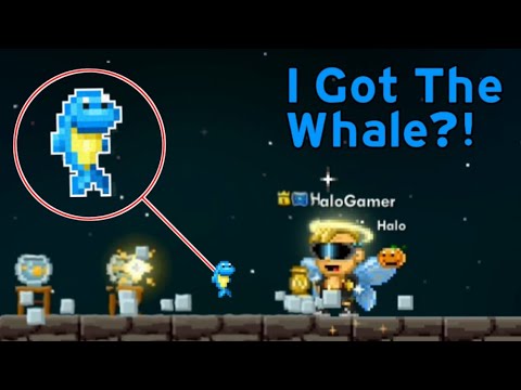 How To Get Whale? (Did I Get One?) | Pixel Worlds