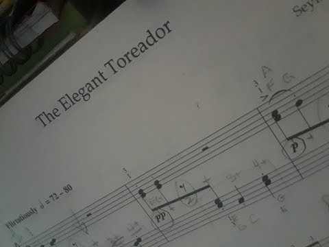 Elegant Toreador: papaji solo