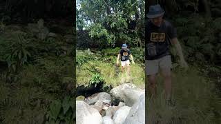 jumping on the big rock #algorithm #youtubeshorts