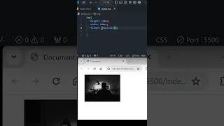 CSS image filters