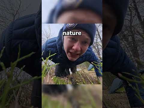 4 Essentials in the Woods! #survival #wildcamping