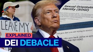 The Truth Behind Trump's Opposition To Diversity Initiatives