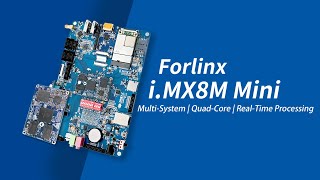 What's the Main Features of Forlinx i.MX8M Mini?