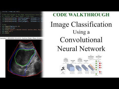 Using a Convolutional Neural Network (CNN) to Classify Images