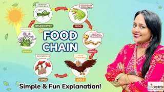 What Is Food Chain? Tropic Levels-Diagram & Examples | Easy Explanation| GradeUp Education Institute
