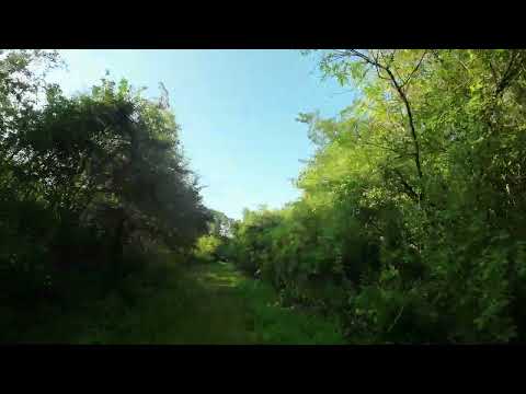 AOS7 FPV drone and the trees
