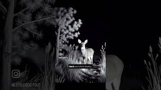 What if a small glitch occurs in the BCI? #ai #neuralvision #visualai #visualattention