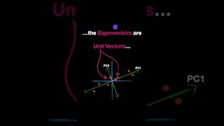 PCA Eigenvectors