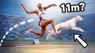 Can We Jump Further Than a Dog? [3D Simulation]