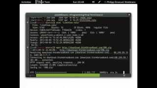 Final Term Terminal Emulator