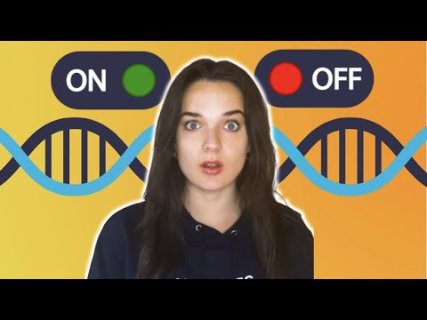 EPIGENETICS: How Environment Affects Your Genes
