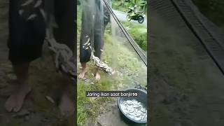 Nyari ikan saat banjir datang #jaringikan #banjir #shorts