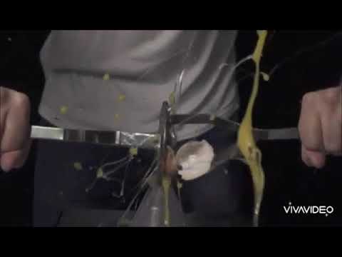 Video en reversa en reversa