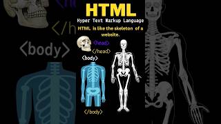 HTML is Like the skeleton  of a website #html #htmltutorial #html5 #htmlcode #htmlelements #htmlcss