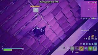 Fortnite Gameplay with Subs