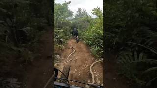 Techy fun #emtb #singletrack #redwoods #shorts