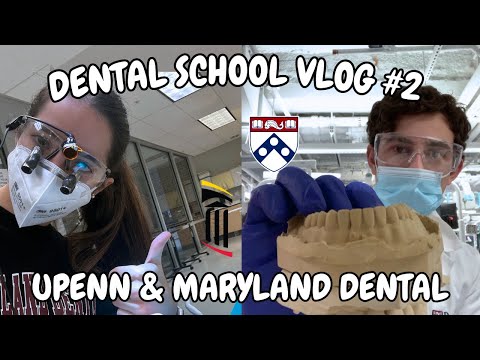 Dental School VLOG #2 | Impressions, Restorations, etc!
