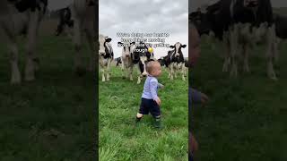 Help us save the animals 🥺❤️#moo #cutestuff #helping #family #farm