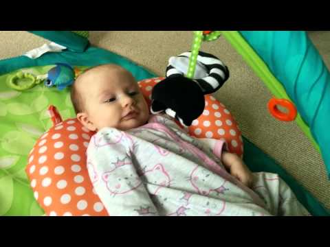 Sage Jams - Barnyard Fun Big Bee Mr. Skunky Daddy