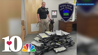 Officers find drugs during stop in Oak Ridge