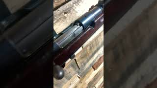 Type 38 Long Rifle ￼￼Japanese 6.5 Jap Mum