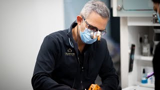 Dental Office In Houston / Dentist Near Me / Dentist In Houston