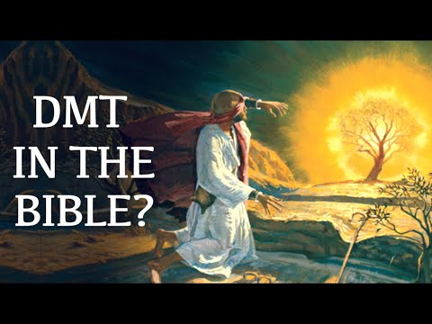 Was Moses Tripping on DMT in the Story of the Burning Bush?