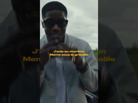 " JUNGLE " DISPO SUR TOUTES LES PLATEFORMES 🌴🏃🏾‍♂️ CLIP SUR YOUTUBE DEMAIN 11H 🛎️ #FPNF
