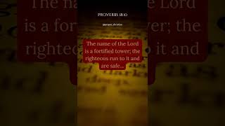 Proberbs 18:10 #PrayerPower #DivineGuidance #GospelTruth #HeavenlyHope #GodsGrace #ProperChristian