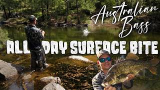Australian Bass All Day Surface Bite