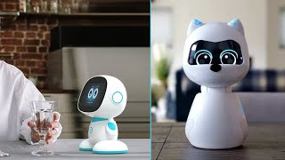 Top 5 Best Personal Interactive Robots You Can Buy In 2022