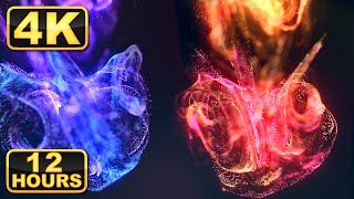 4K Abstract Liquids! Mesmerizing 4K Abstract Fluids for the ULTIMATE Meditation