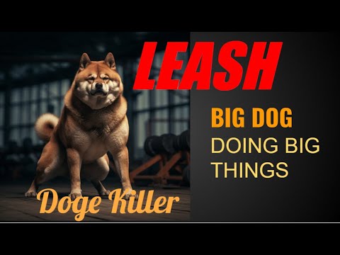 Leash Token : Shib Army Governance is a Massive Opportunity!